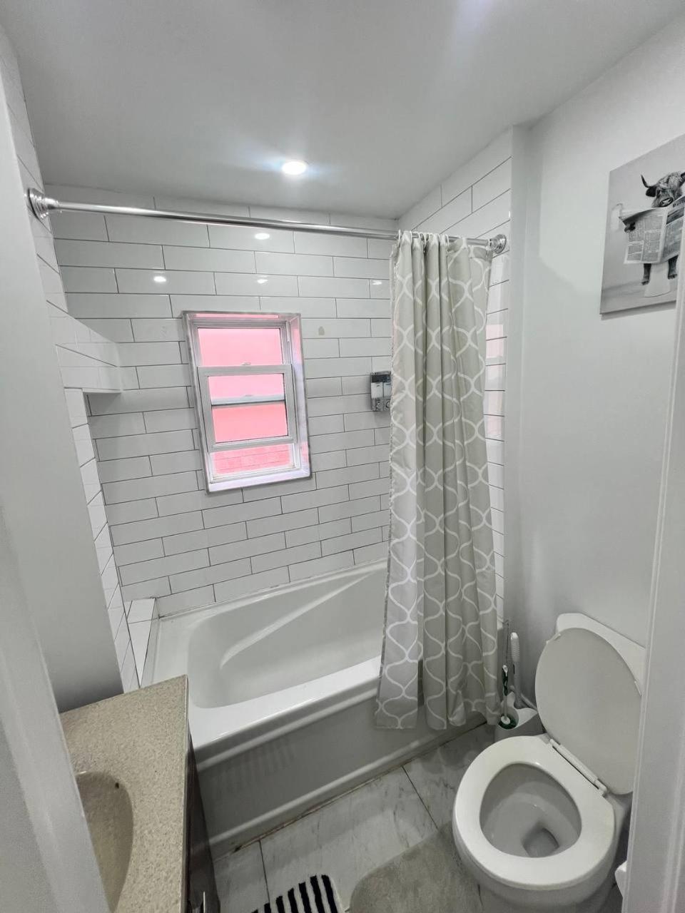 #1 Convvy-Nient Residence! トロント エクステリア 写真